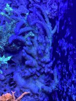 IMG_1104.jpg