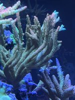 IMG_1111.jpg