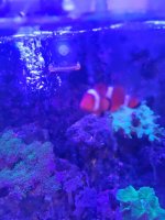 20231029_164448.jpg