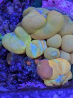 PXL_20231017_002712974.MP.jpg PXL_20231017_002712974.MP.jpg