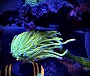 E37E1F15-1ED3-431F-90EE-8E6F199CB064.jpeg E37E1F15-1ED3-431F-90EE-8E6F199CB064.jpeg