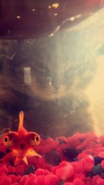 8xgpfxlgv1dzvlb1.jpg 8xgpfxlgv1dzvlb1.jpg