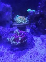 20231031_224247.jpg 20231031_224247.jpg