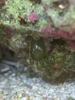 IMG_7206.jpeg IMG_7206.jpeg