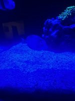 IMG_7576.jpeg