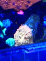 IMG_3517.jpeg