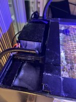 IMG_4523.jpeg