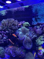 IMG_2653.jpeg