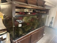 IMG_6607.jpeg