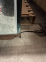 received_312763591526204.jpeg