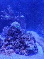 20231111_083525.jpg