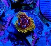 IMG_0572.jpeg