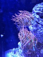 20231113_152121.jpg