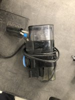 IMG_3625.jpeg