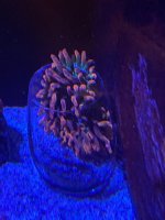 IMG_1871.jpeg