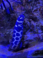IMG_3644.jpeg