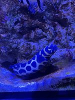 IMG_3642.jpeg