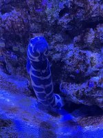 IMG_3640.jpeg