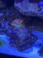 IMG_8489.jpeg
