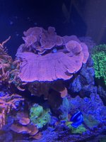 IMG_8493.jpeg