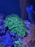 IMG_8492.jpeg