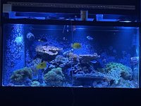 IMG_8345.jpeg