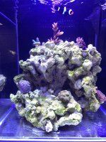 IMG_3054.jpeg