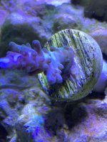 IMG_3063.jpeg
