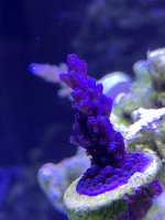 IMG_3048.jpeg