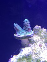 IMG_3051.jpeg