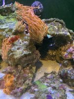 IMG_2587.jpeg