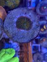 1A9B51BF-C2E9-40F1-A311-DE9B2365CA12.jpeg