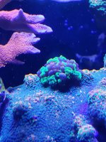 20231202_142518.jpg