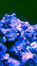 IMG_1939.jpeg