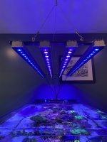 IMG_8197.jpeg
