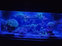 20231217_174949.jpg