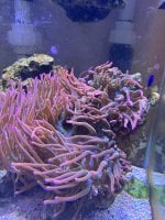 IMG_7313.jpeg