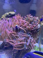 IMG_7312.jpeg