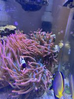 IMG_7311.jpeg