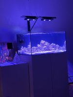 IMG_5473.jpeg