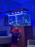 IMG_2609.jpeg