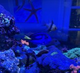 IMG_2627.jpeg
