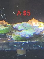 20231226_120914.jpg