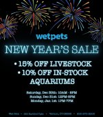 new years copy.jpg