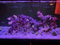 thumbnail_IMG_2053.jpg