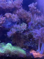 IMG_3578.jpeg