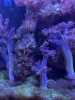 IMG_3579.jpeg