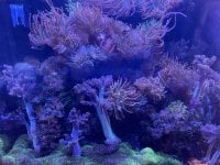 IMG_3580.jpeg