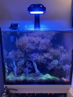 IMG_3577.jpeg