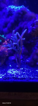 20240107_213114.jpg